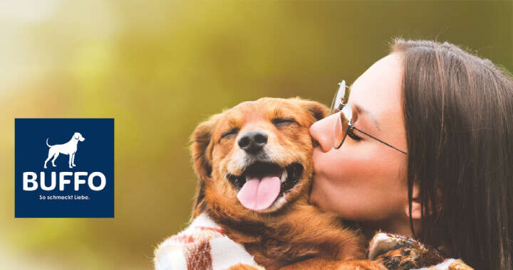 banner buffo hundefutter 720x380